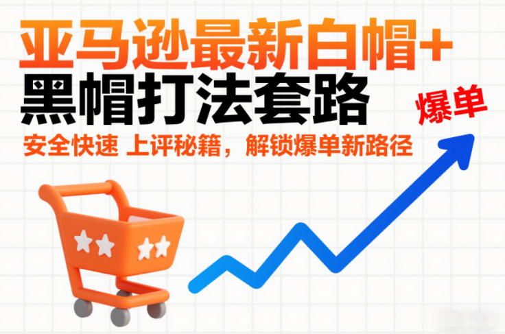 亚马逊最新白帽+黑帽打法套路，安全快速上评秘籍，解锁爆单新路径-默默网创
