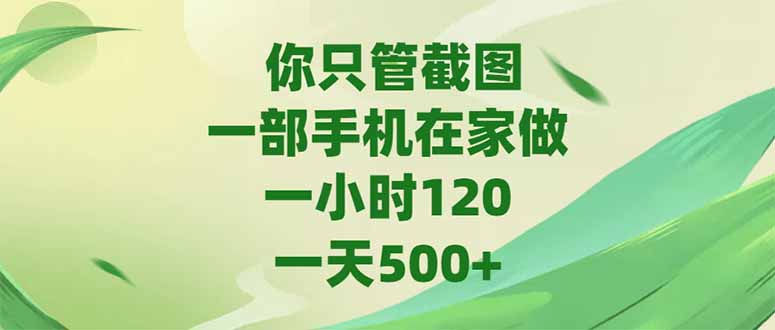 （15039期）你只管截图，一部手机在家做，一小时120，-天500+-默默网创