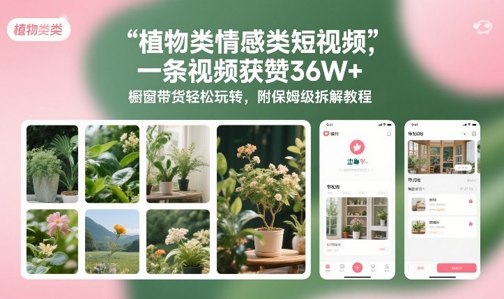 植物类情感类短视频，一条视频获赞36W+，橱窗带货轻松玩转，附保姆级拆解教程-默默网创
