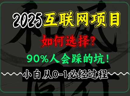 2025年互联网项目搞钱方法论，全是干货，肺腑之言，新手从0-1必经过程，边看边实操-默默网创