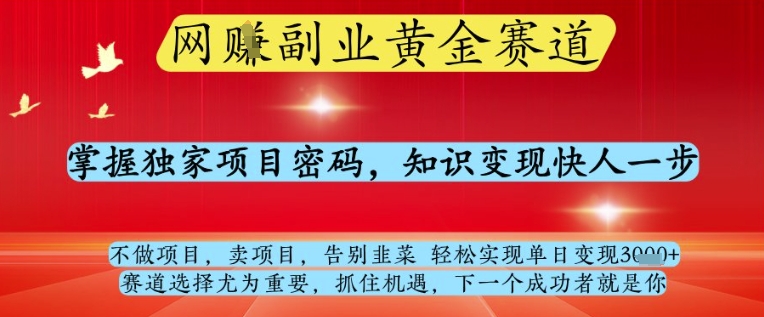 网创副业黄全赛道,掌握独家项目密码,知识变现快人一步,告别韭菜轻松实现单日变现1k+【揭秘】-默默网创