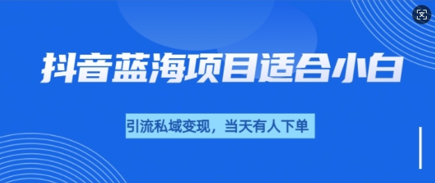 抖音蓝海小赛道私域变现项目，单价9.9单天变现100+，实操玩法分享给你-默默网创