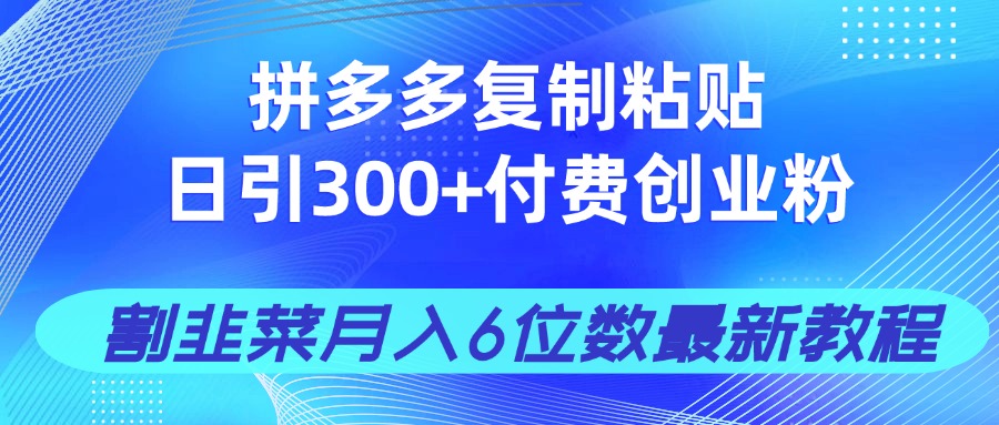 （14232期）拼多多复制粘贴日引300+付费创业粉，割韭菜月入6位数最新教程！-默默网创