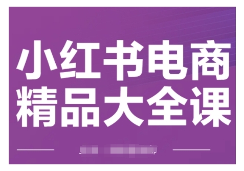 小红书电商精品大全课，快速掌握小红书运营技巧，实现精准引流与爆单目标，轻松玩转小红书电商-默默网创