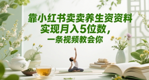 靠小红书卖养生资料实现月入5位数，一条视频教会你-默默网创