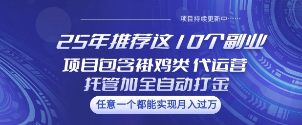 25年推荐这10个副业项目包含褂鸡类、代运营托管类、全自动打金类【揭秘】-默默网创