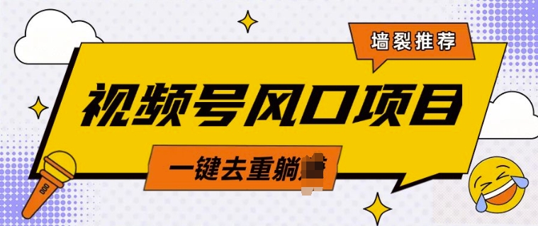 视频号风口蓝海项目，中老年人的流量密码，简单无脑，一键去重，轻松月入过W-默默网创