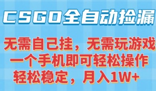CSGO自动捡漏项目，最新独家玩法，一个手机可操作，新手小白轻松月入1W+，操作简单易上手【揭秘】-默默网创