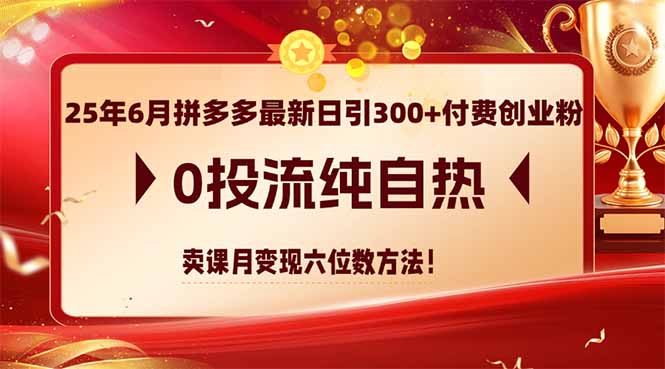 （14989期）25年6月拼多多最新日引300+付费创业粉，0投流纯自热 卖课月变现六位数方法-默默网创