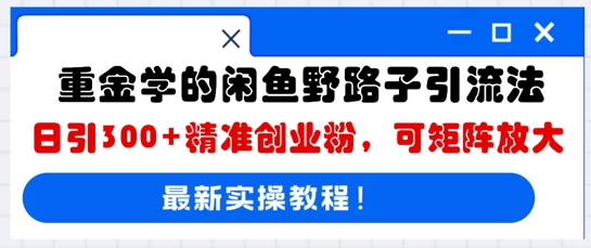 重金学的闲鱼野路子引流法，日引300+精准创业粉，可矩阵放大-默默网创
