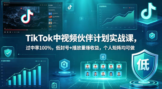 TikTok中视频伙伴计划实战课，过中率100%，低封号+播放量賺收益，个人矩阵均可做-默默网创