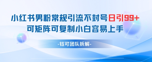 小红书男粉常规引流不封号日引99+变现简单 可矩阵可复制小白容易上手-默默网创