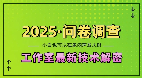 2025问卷调查最新工作室技术解密：一个人在家也可以闷声发大财，小白一天2张，可矩阵放大【揭秘】-默默网创