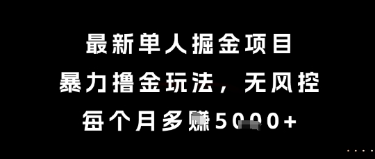 最新单人掘金项目，暴力撸金玩法，无风控，每个月多挣5k+【揭秘】-默默网创
