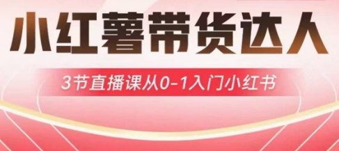 小红薯达人带货启航计划，3节直播课从0-1入门小红书-默默网创