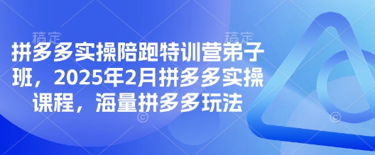 拼多多实操陪跑特训营弟子班，2025年2月拼多多实操课程，海量拼多多玩法-默默网创