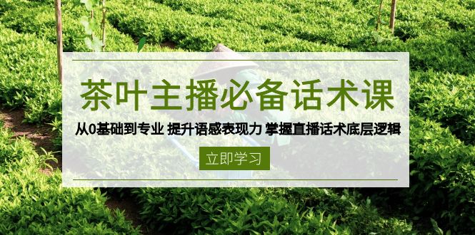 （13961期）茶叶 主播必备话术课 从0基础到专业 提升语感表现力 掌握直播话术底层逻辑-默默网创