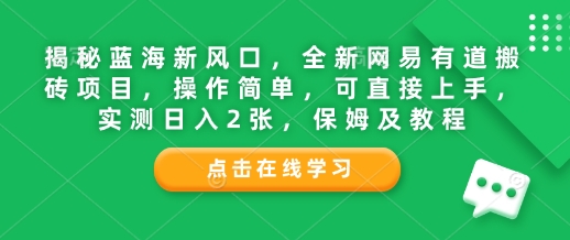 揭秘蓝海新风口，全新网易有道搬砖项目，操作简单，可直接上手，实测日入2张，保姆及教程-默默网创