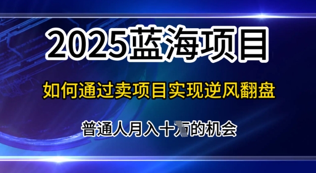 2025蓝海项目，普通人如何通过卖项目实现逆风翻盘，月入10个【揭秘】-默默网创
