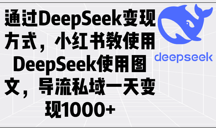 （14179期）通过DeepSeek变现方式，小红书教使用DeepSeek图文，导流私域一天变现1000+-默默网创