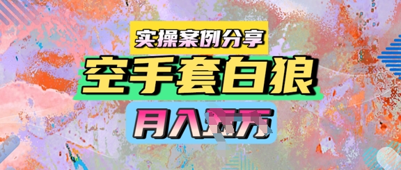 空手套白狼，月入过1W，实操案例分享-默默网创