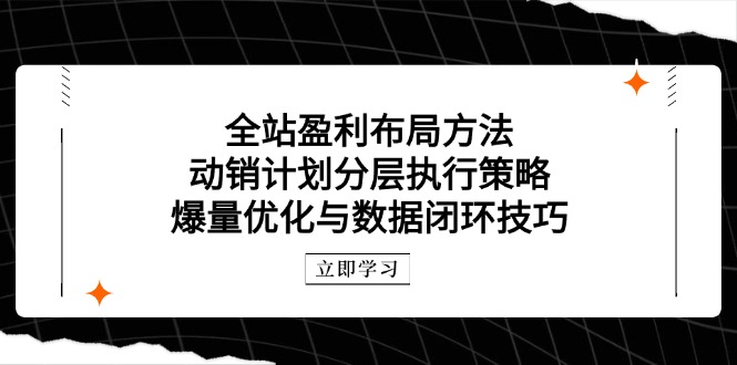 （14698期）全站盈利布局方法：动销计划分层执行策略，爆量优化与数据闭环技巧-默默网创