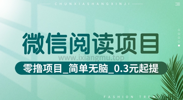 微信阅读项目_零撸项目+简单无脑+0.3元起提(六大平台合集汇总)-默默网创