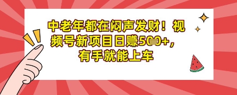 中老年都在闷声发财，视频号新项目日入多张，有手就能上车-默默网创