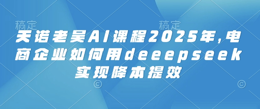 天诺老吴AI课程2025年，电商企业如何用deeepseek实现降本提效-默默网创