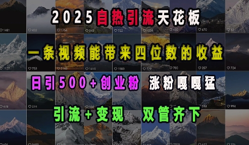2025自热引流天花板，一条视频能带来四位数的收益，引流+变现双管齐下，日引500+创业粉，涨粉嘎嘎猛-默默网创