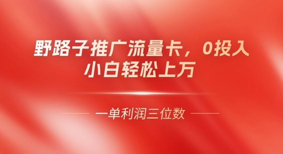 0门槛推广流量卡，一单收益上百，0投入，小白月入过W-默默网创