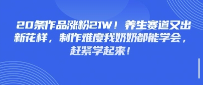 20条作品涨粉21W！养生赛道又出新花样，制作难度我奶奶都能学会，赶紧学起来-默默网创