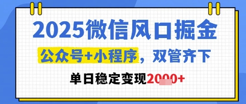 2025微信风口掘金，公众号+小程序双管齐下，单日稳定变现1k+【揭秘】-默默网创