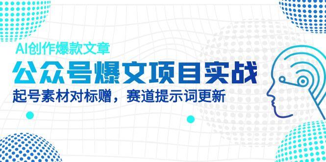 （14709期）公众号爆文项目实战，AI创作爆款文章，起号素材对标赠（附赛道AI提示词）-默默网创
