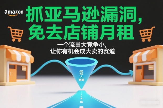 抓亚马逊漏洞，免去店铺月租，一个流量大竞争小，让你有机会成大卖的赛道-默默网创
