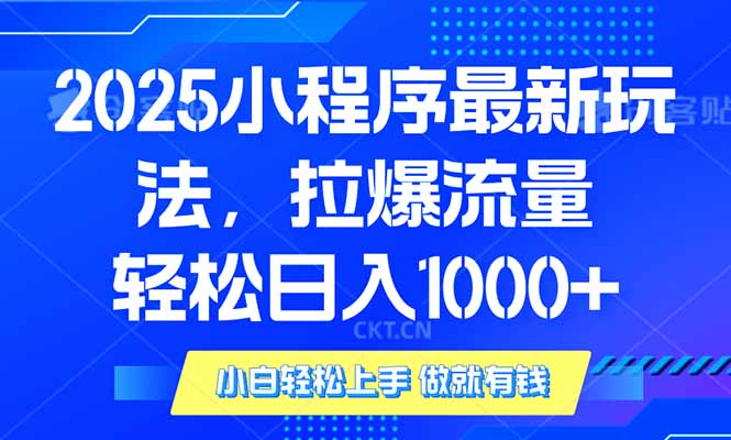 （14028期）2025年小程序最新玩法，流量直接拉爆，单日稳定变现1000+-默默网创