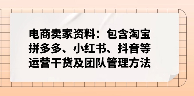 （14354期）电商卖家资料：包含淘宝、拼多多、小红书、抖音等运营干货及团队管理方法-默默网创