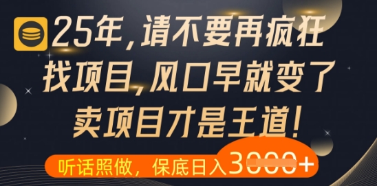 什么？25年你还在疯狂找项目做，醒醒吧，看完这些你全都懂了【揭秘】-默默网创