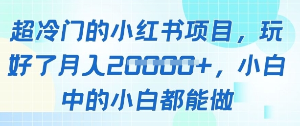 超冷门的小红书项目，玩好了月入过1w，小白中的小白都能做-默默网创