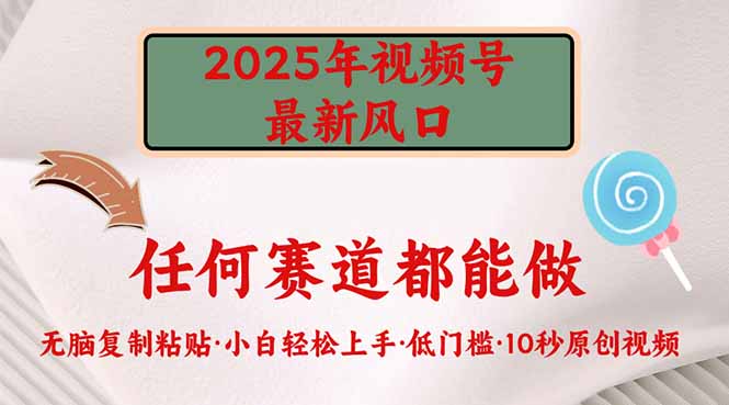 （14453期）2025年视频号新风口，低门槛只需要无脑执行-默默网创