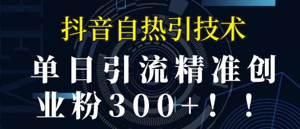 抖音自热引流，单日引流精准创业粉300+-默默网创