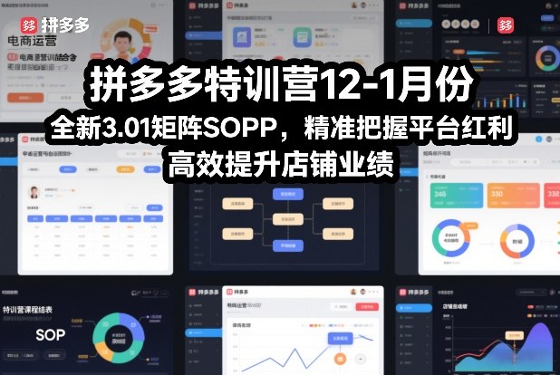 拼多多特训营12-1月份，全新3.01矩阵Sop，精准把握平台红利，高效提升店铺业绩-默默网创