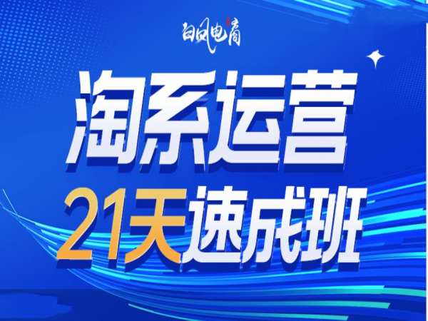 淘系运营21天速成班35期，年前最后一波和2025方向-默默网创