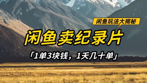 闲鱼卖纪录片1单3块钱，1天几十单，项目稳定有潜力-默默网创