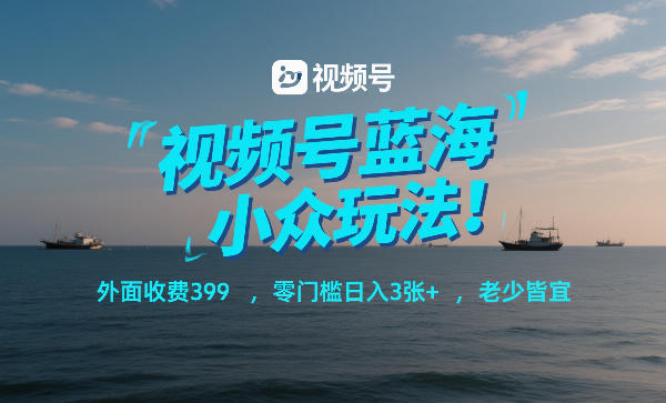 视频号蓝海小众玩法！外面收费399，零门槛日入3张+，老少皆宜-默默网创