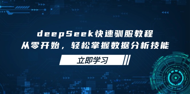（14536期）deepSeek快速驯服教程，从零开始，轻松掌握数据分析技能-默默网创