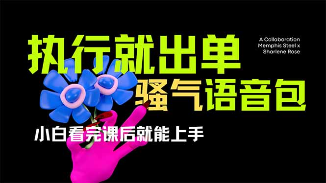 （14170期）爆火全网的开车导航骚气语音包,只要执行就出单，小白看完课程就能实操...-默默网创