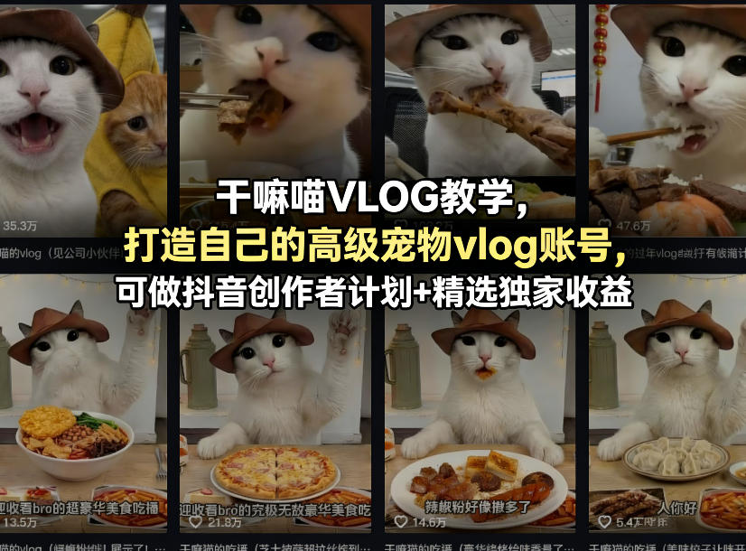 干嘛喵VLOG教学，打造自己的高级宠物vlog账号，可做抖音创作者计划+精选独家收益-默默网创