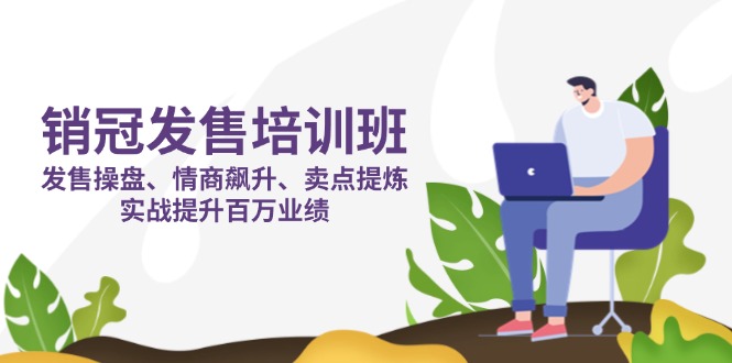 （14203期）销冠 发售培训班：发售 操盘+情商 飙升+卖点 提炼，实战提升百万业绩-默默网创
