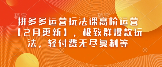 拼多多运营玩法课高阶运营【2月更新】，极致群爆款玩法，轻付费无尽复制等-默默网创